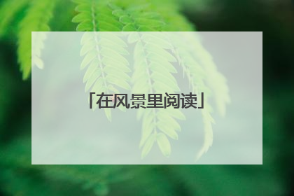 在风景里阅读